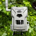 best cheap trail camera