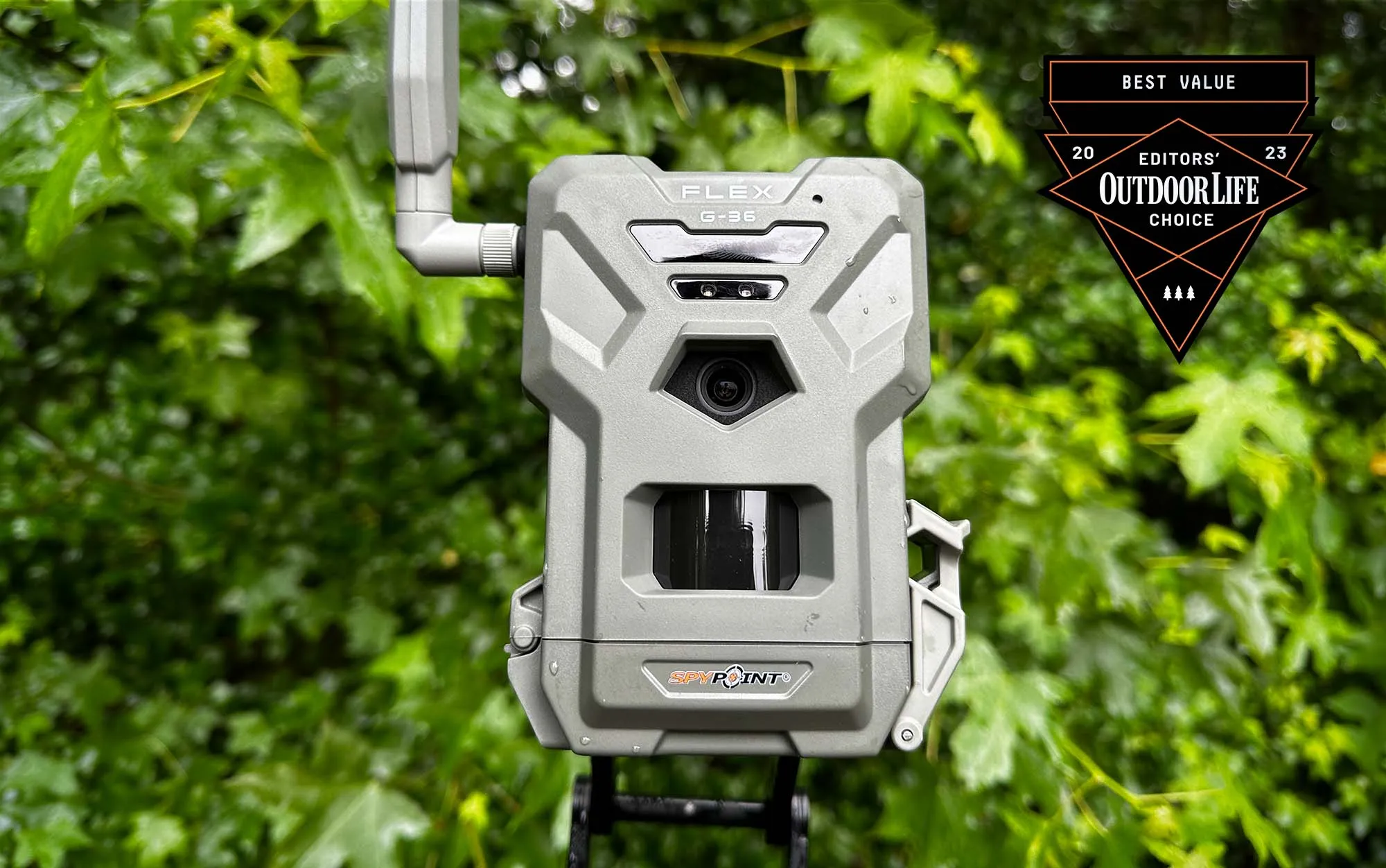 best cheap trail camera